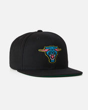 Load image into Gallery viewer, &#39;Beast of Prey&#39; Snapback
