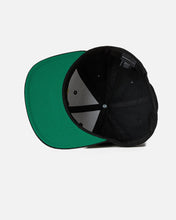 Load image into Gallery viewer, &#39;Beast of Prey&#39; Snapback
